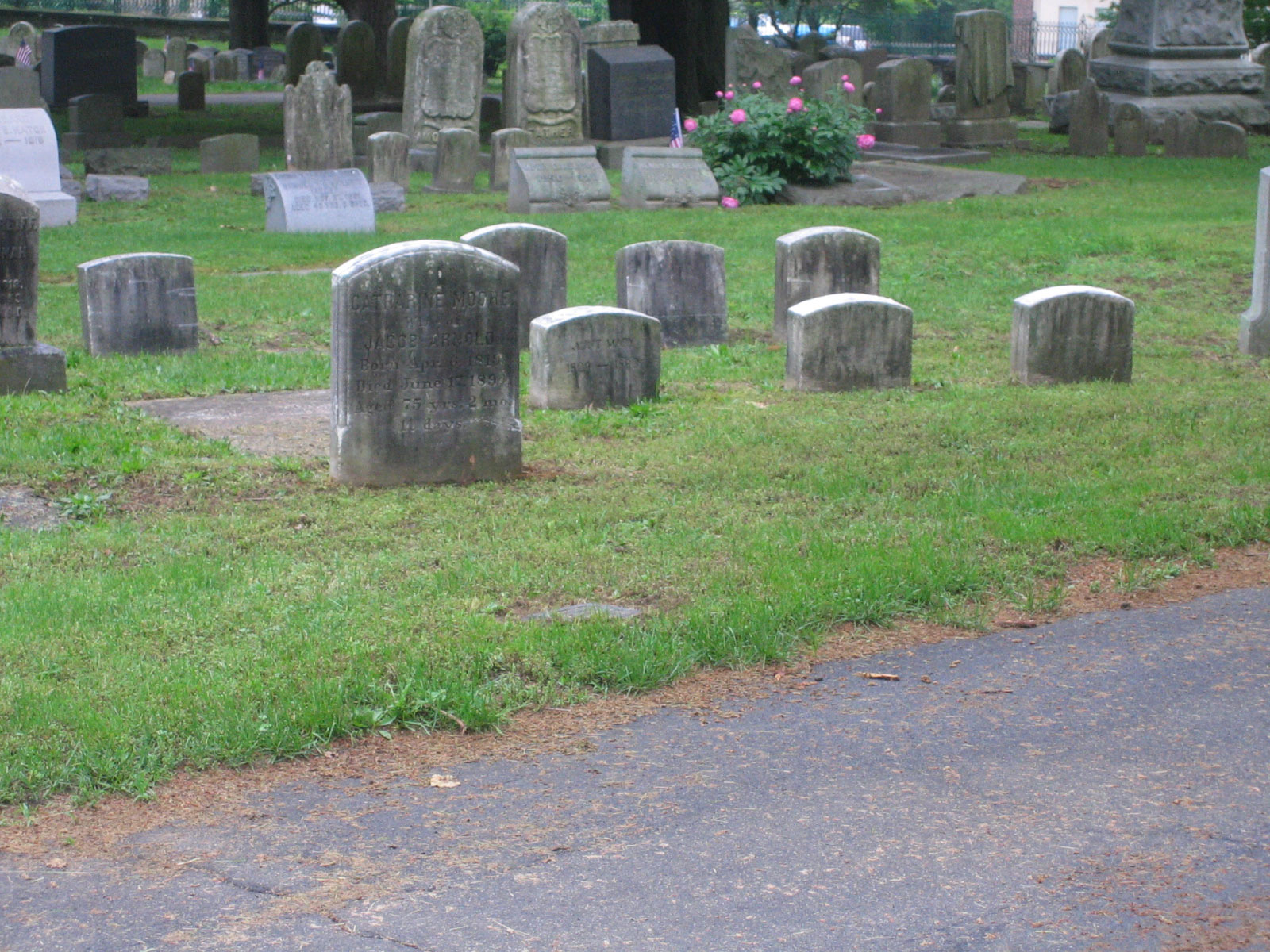 Family plot